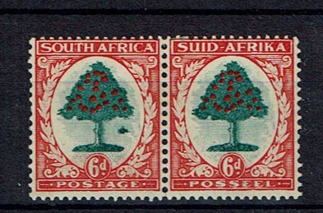 Image of South Africa SG 61b LMM British Commonwealth Stamp